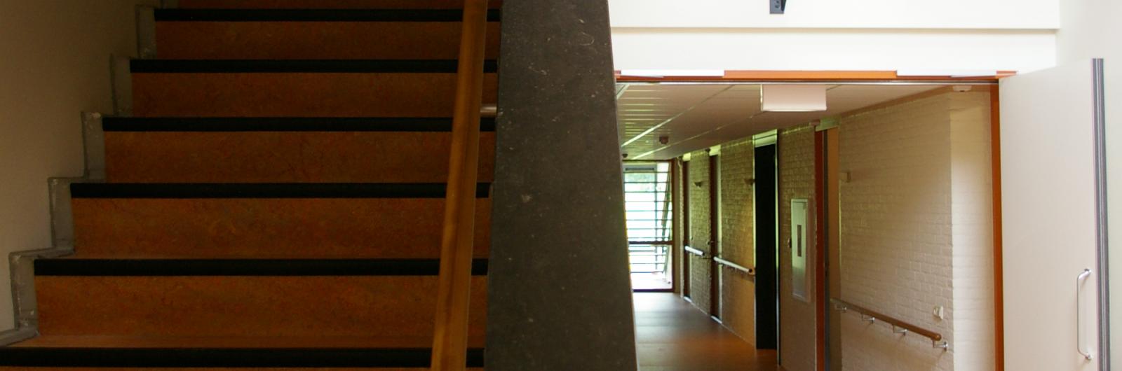 IMGP2178